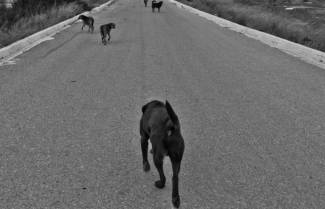 Για τις «δεμένες» (ελληνικές;) οικογένειες