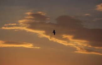 Τα δυο όνειρα του Νίκου Καζαντζάκη