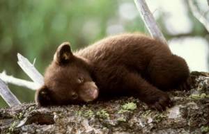 Η Ζωή πίνει γάλα (video)