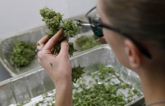 Η μαριχουάνα των ΗΠΑ "σκοτώνει" τα καρτέλ