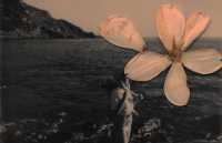 Roberto Juarroz | Κατακόρυφη ποίηση