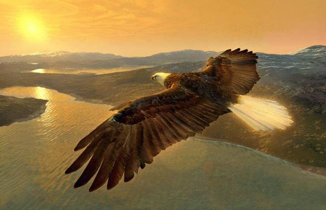 James Aggrey - «Η παραβολή του Αετού»