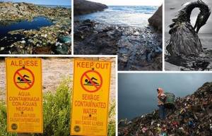 Έτσι καταστρέφουμε τους ωκεανούς μας