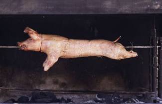 Σας σοκάρει ένα ψητό σκυλί, αλλά όχι ένα ψητό γουρούνι;