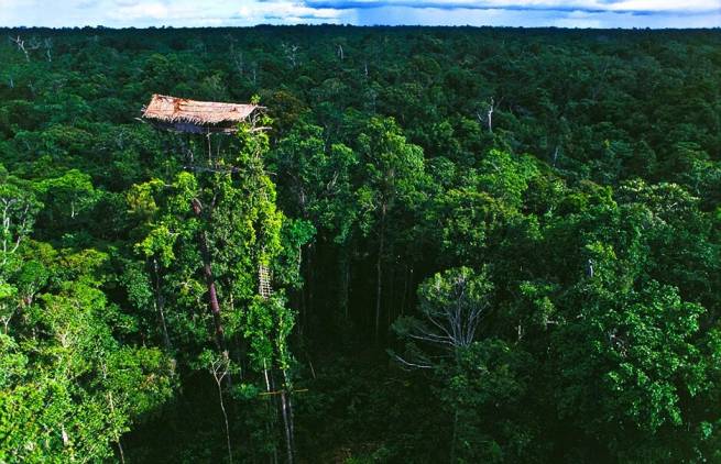Korowai: Ένα χωριό πάνω στα δέντρα!
