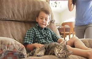 Γάτα σώζει αγόρι από σκύλο (video)