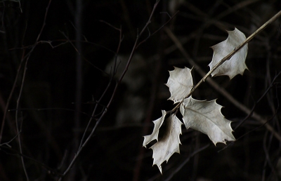 Μπέρτολτ Μπρεχτ: «Φτάνουν Χριστούγεννα...»