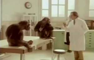 Τεστ "ευφυΐας"... (video)