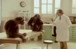 Τεστ &quot;ευφυΐας&quot;... (video)