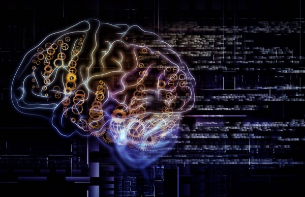 Τι νέα από τον εγκέφαλό σας; Δημιουργικότητα νοημοσύνη και πειράματα.