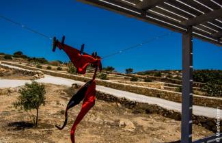 my GReek sUMMER #GRUMMER Vol2