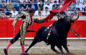 Θάνατος ταυρομάχου στην αρένα (video)