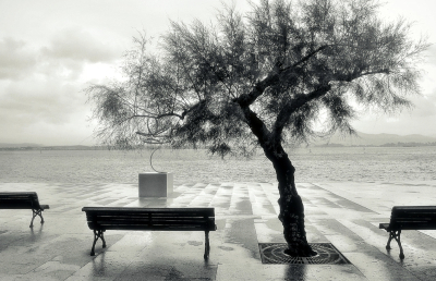 Γιώργος Σεφέρης | Πρωί