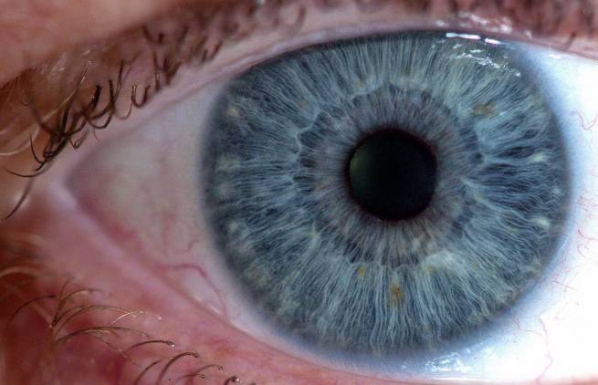 Γ. Παξινός - Γιατί η ψυχολογία έχασε την ψυχή της