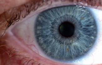 Γ. Παξινός - Γιατί η ψυχολογία έχασε την ψυχή της