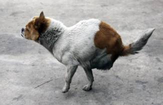 Ίσως η πιο γενναία μητέρα που έχετε δει!