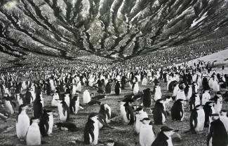 Sebastião Salgado: Το ερωτικό μου γράμμα προς τον πλανήτη