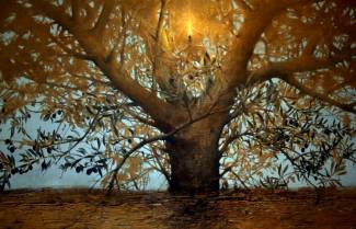 Αργύρης Χιόνης - Ο Άνθρωπος Που Έγινε Δέντρο Ζωής