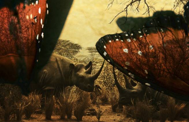 Όσκαρ Ουάιλντ - «Ο Σκοπός της Zωής είναι η Eξέλιξη του Eαυτού μας»