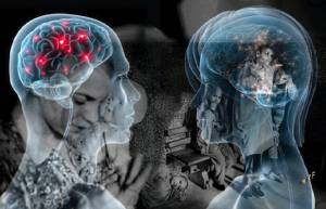 Διαφορές μεταξύ Αντρών και Γυναικών