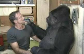 Η Koko συναντά τον Robin Williams ... (video)