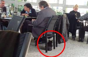 Η άτυχη στιγμή του πρωθυπουργού