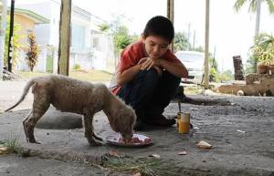 O 9χρονος που σώζει αδέσποτα με το χαρτζιλίκι του...