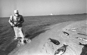 Η καταστροφή του Τσερνόμπιλ σε εικόνες