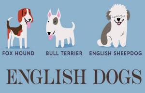 Σκυλιά του κόσμου