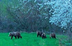 Επιτέλους μια ευτυχισμένη οικογένεια στην Καστοριά