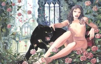 Οι υπέροχες γυναίκες του Milo Manara (video)