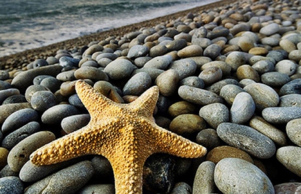 Όλοι μας θέλουμε να ζήσουμε μια ευτυχισμένη ζωή!